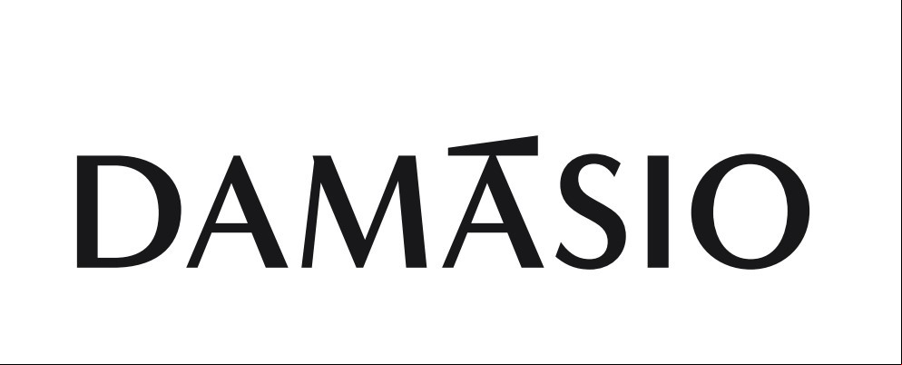 logo:DAMÁSIO