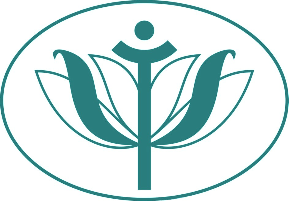 logo:NAYARA FABINI SANTI BINOTTO PSICÓLOGA